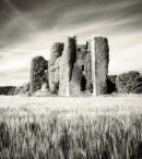 Carrickdexter Castle